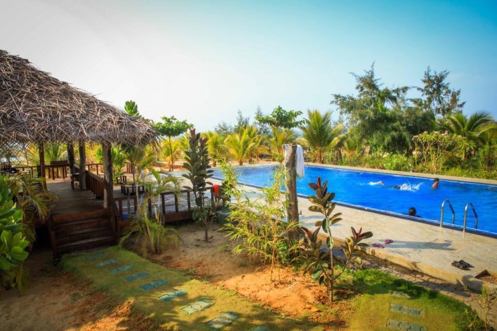 ארוגם Whisky Point Surf Cabana מראה חיצוני תמונה