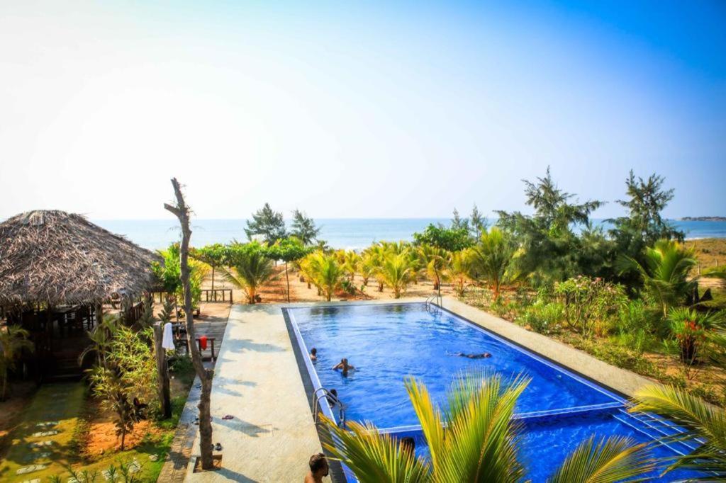 ארוגם Whisky Point Surf Cabana מראה חיצוני תמונה
