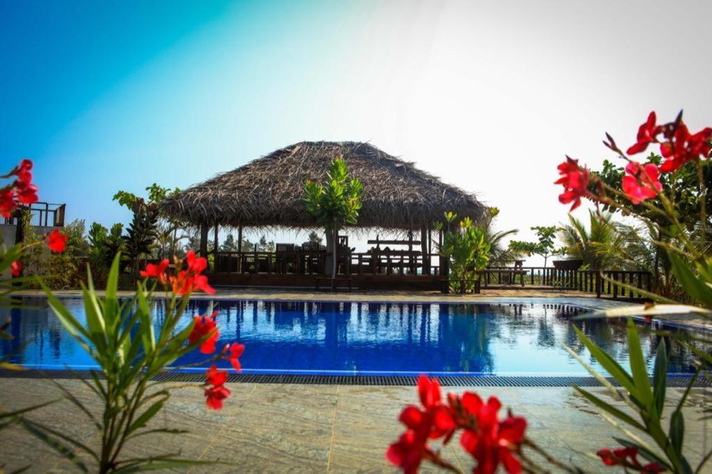 ארוגם Whisky Point Surf Cabana מראה חיצוני תמונה